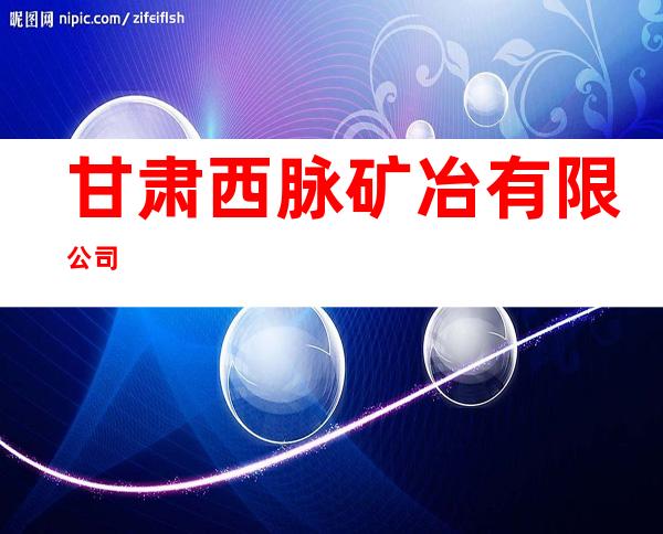 甘肃西脉矿冶有限公司